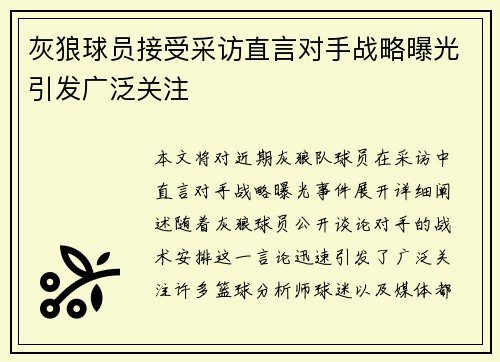 灰狼球员接受采访直言对手战略曝光引发广泛关注